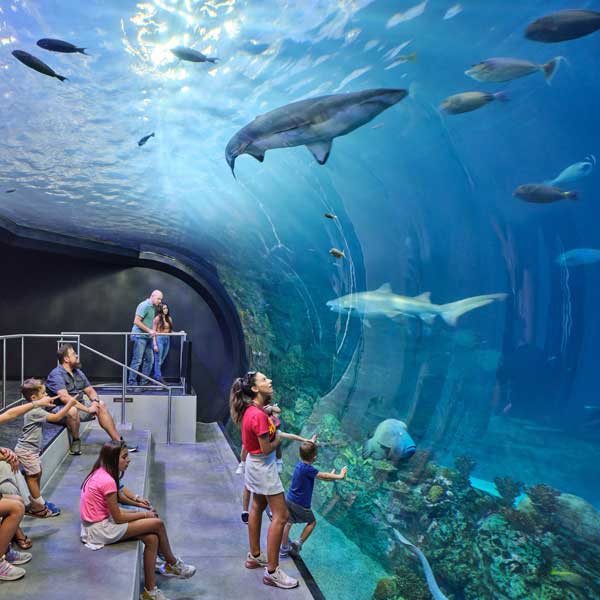 07-KC-Zoo-and-Aquarium600x600